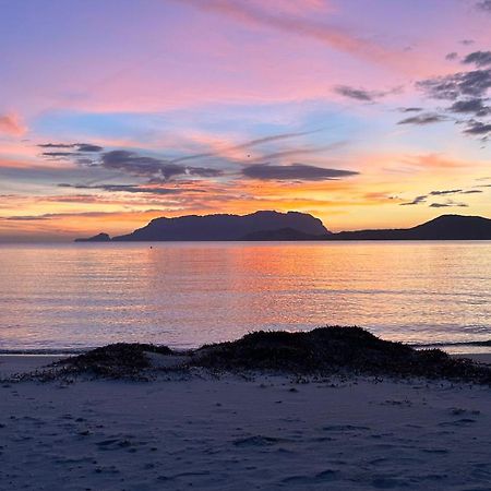 Вілла Rosa Dei Venti - Casa Maestrale - Sardegna - Iun R2217 Ольбія Екстер'єр фото