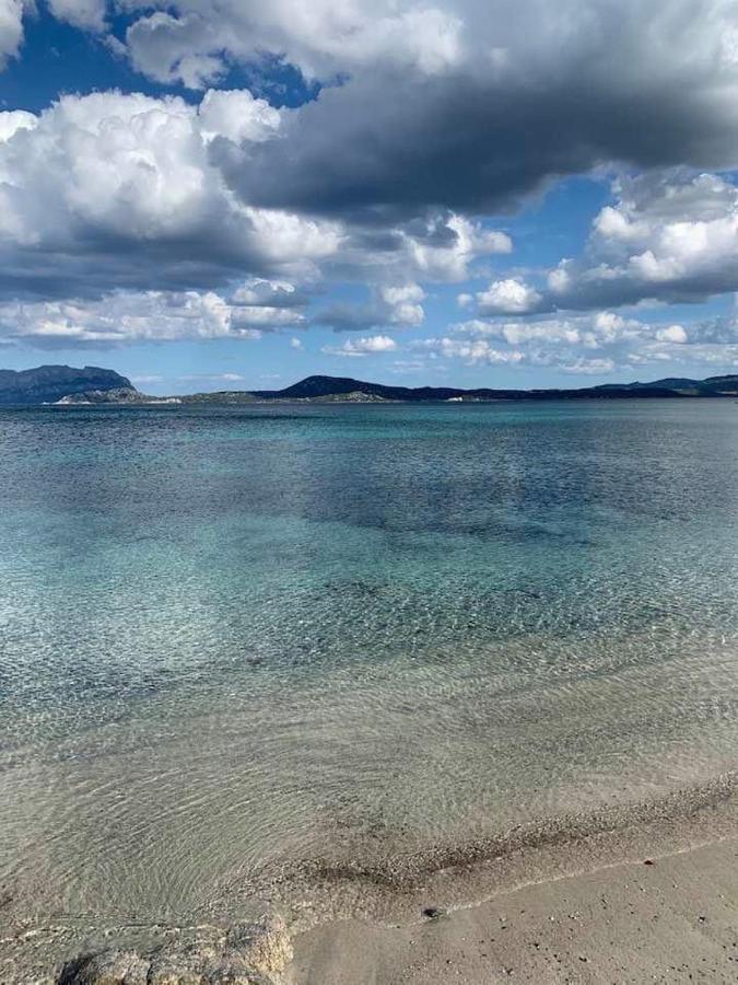 Вілла Rosa Dei Venti - Casa Maestrale - Sardegna - Iun R2217 Ольбія Екстер'єр фото