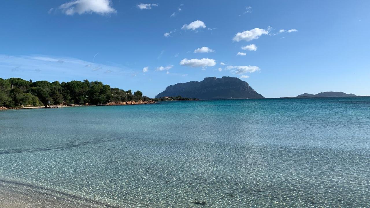 Вілла Rosa Dei Venti - Casa Maestrale - Sardegna - Iun R2217 Ольбія Екстер'єр фото
